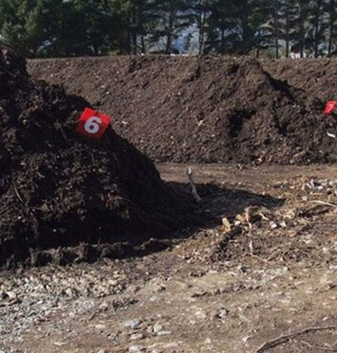 compost-vegetal1-greenterra