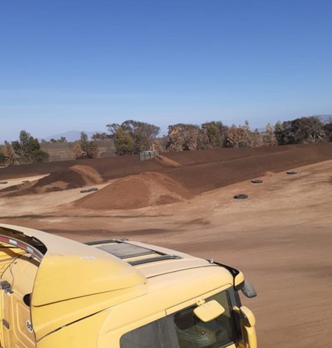 guano-de-gallina1-greenterra