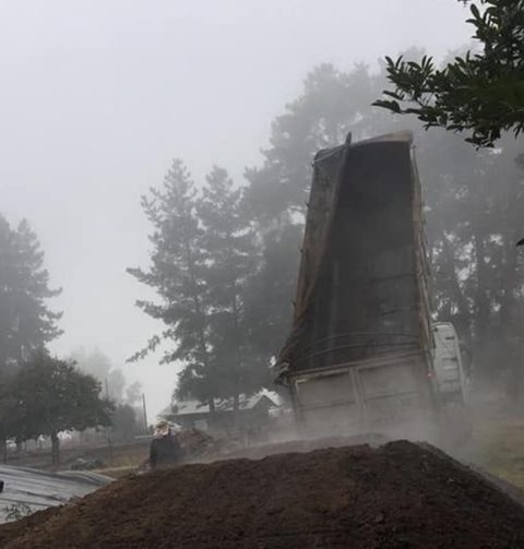 guano-de-pollo-greenterra