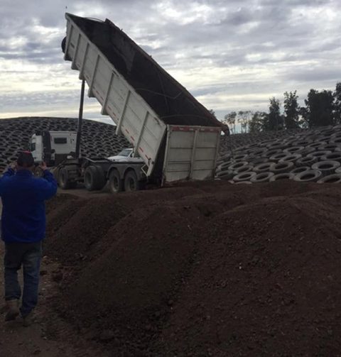 guano-de-pollo1-greenterra